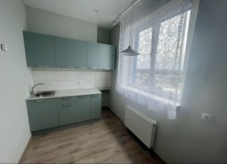 Продается 2-комнатная квартира, 47 м2, село Михайловка, Новоуфимская улица, 15