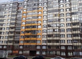 Продается 1-комнатная квартира, 24.6 м2, Санкт-Петербург, проспект Ветеранов, 175к4, муниципальный округ Сосновая Поляна