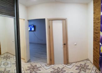 Сдаю 1-комнатную квартиру, 47 м2, рабочий поселок Маркова, микрорайон Берёзовый, 158