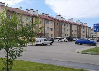 Продажа 1-ком. квартиры, 41 м2, село Ямное, Ягодная улица, 26