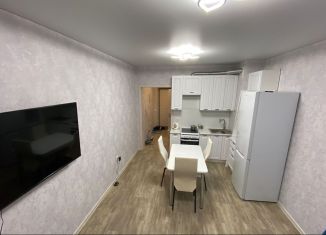 Квартира на продажу студия, 28 м2, село Михайловка, Новоуфимская улица