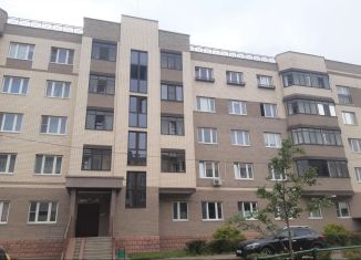 Продается 1-ком. квартира, 30.3 м2, село Бисерово, микрорайон Новое Бисерово-2, 4