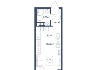 Продажа квартиры студии, 24.6 м2, Санкт-Петербург, муниципальный округ Московская Застава