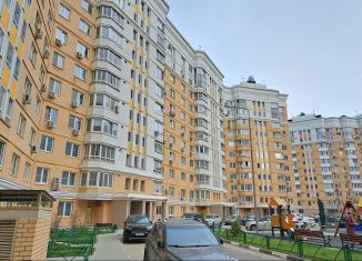 Продажа квартиры студии, 25 м2, Москва, 6-я Радиальная улица, 3к6, ЖК Царицыно