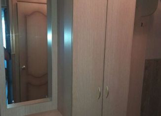 Сдаю 2-комнатную квартиру, 45 м2, Биробиджан, Осенняя улица, 1А