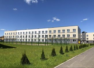 Продается однокомнатная квартира, 43.7 м2, деревня Скрылья, деревня Скрылья, 278