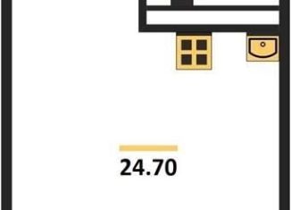 Продажа однокомнатной квартиры, 24.7 м2, Новосибирск, метро Красный проспект, улица Семьи Шамшиных, 3