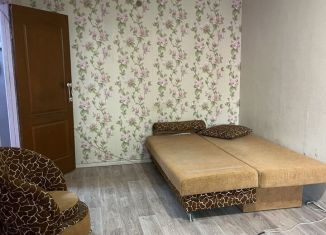Однокомнатная квартира в аренду, 31 м2, Удмуртия, улица Степана Разина, 5