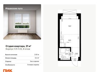 Квартира на продажу студия, 21 м2, посёлок Ильинское-Усово, Заповедная улица, 9, ЖК Ильинские Луга