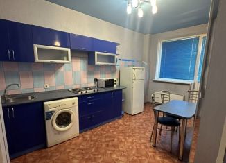 Сдам 1-комнатную квартиру, 50 м2, Волгоградская область, проспект Маршала Жукова, 100