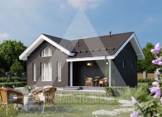 Продаю дом, 50 м2, деревня Фрязино, деревня Фрязино, 33