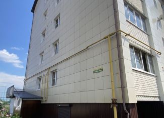 Продается двухкомнатная квартира, 52 м2, деревня Крутые Выселки, улица Герасимова, 2