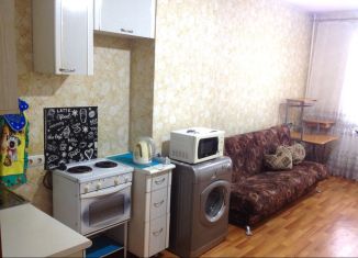 Квартира в аренду студия, 25 м2, Красноярск, улица Калинина, 15, Железнодорожный район