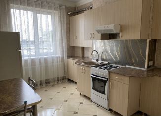 1-комнатная квартира в аренду, 41.5 м2, Нальчик, улица Толстого, 180Б, район Хладокомбинат