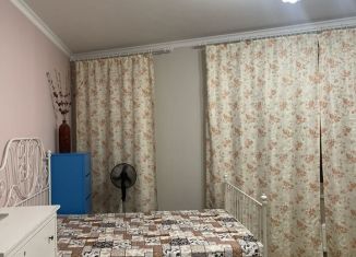 Квартира в аренду студия, 28 м2, Московская область, улица Липовой Рощи, 1к2