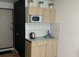 Квартира в аренду студия, 15 м2, Екатеринбург, Авиационная улица, 83