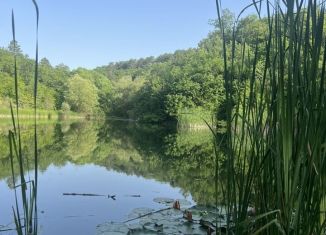 Продается земельный участок, 126 сот., посёлок городского типа Куйбышево, Родниковая улица
