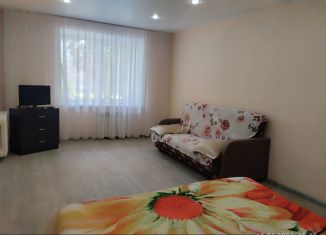 Аренда 2-комнатной квартиры, 56 м2, Самарская область, улица Свободы, 161