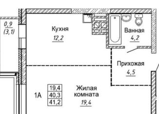 1-комнатная квартира на продажу, 41.2 м2, Новосибирск, метро Золотая Нива, улица Фрунзе, с1