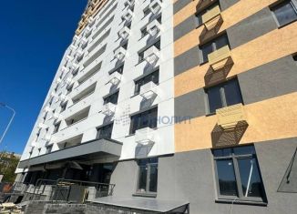 Продается 2-комнатная квартира, 62.3 м2, Нижний Новгород, ЖК Подкова на Гагарина, проспект Гагарина, 36к4