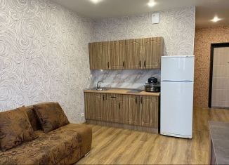 2-комнатная квартира в аренду, 37 м2, Новосибирск, Заречная улица, 41, Первомайский район