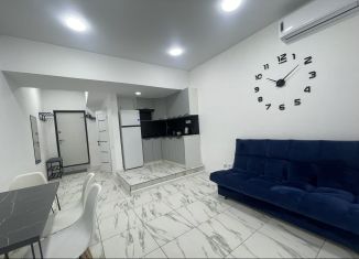 Продажа 2-ком. квартиры, 33.5 м2, Сочи, улица Ленина, 172Б, микрорайон Центральный