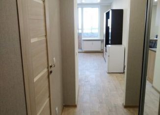 Сдача в аренду квартиры студии, 24.6 м2, Мурино, проспект Авиаторов Балтики, 3к1, ЖК Девятый вал