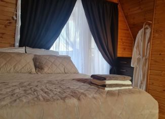 Сдача в аренду коттеджа, 69 м2, Республика Алтай