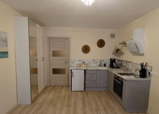 Продам квартиру студию, 27.8 м2, городской посёлок Янино-1, Голландская улица, 8