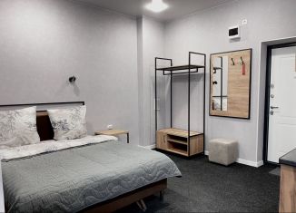 Продажа квартиры студии, 24.2 м2, Чита, улица Ленина, 151к1