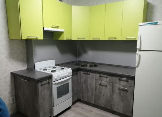 Сдача в аренду однокомнатной квартиры, 38 м2, село Засечное, улица Натальи Лавровой, 14, ЖК Семейный