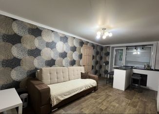 Продается 2-комнатная квартира, 41.2 м2, Татарстан, Гвардейская улица, 46/1