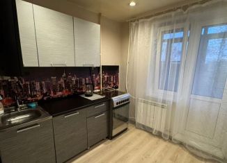 Сдам в аренду 1-ком. квартиру, 34 м2, деревня Кисельня, Центральная улица, 11