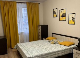 Сдается 1-ком. квартира, 33 м2, деревня Куюки, Тихая улица, 4