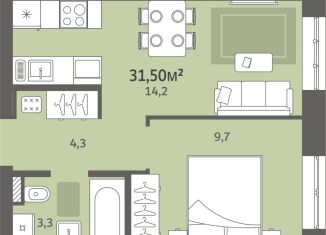 Продажа 1-ком. квартиры, 31.5 м2, деревня Хохряки