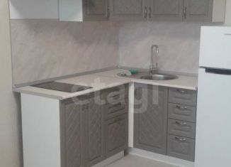 Сдается в аренду квартира студия, 21 м2, Тюмень, улица Тимофея Чаркова, 28, ЖК Новый Мыс 3.0