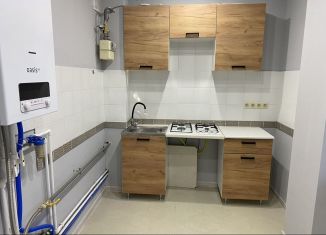 1-ком. квартира в аренду, 37 м2, Смоленск, 1-я Восточная улица, 3/6