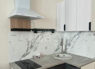 Продается квартира студия, 20.9 м2, Кудрово, Столичная улица, 11к3, ЖК Вернисаж