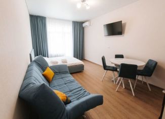 Продаю квартиру студию, 30.4 м2, Сочи, Виноградная улица, 224/4, микрорайон Мамайка