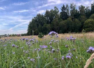 Продается земельный участок, 13 сот., деревня Скрылья, Дальняя улица