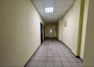 Сдается офис, 101 м2, Ростов-на-Дону, Социалистическая улица, 74, Ленинский район