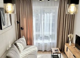 Аренда 1-комнатной квартиры, 32 м2, Котельники, микрорайон Парковый, 14