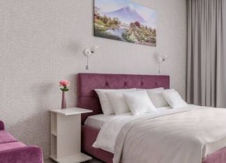 Сдам в аренду однокомнатную квартиру, 43 м2, Сестрорецк, улица Токарева, 13А