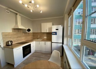 Сдается в аренду однокомнатная квартира, 29.9 м2, Ростов-на-Дону, улица Ерёменко, 110/2с1, ЖК Пятый Элемент