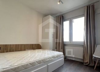 Продажа квартиры студии, 19 м2, Санкт-Петербург, Муринская дорога, 31к1, метро Академическая