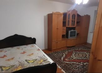 Аренда однокомнатной квартиры, 29 м2, Гусь-Хрустальный, Транспортная улица, 28