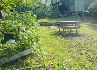 Сдаю в аренду дачу, 20 м2, Санкт-Петербург