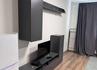 Сдается квартира студия, 28 м2, деревня Глухово, Романовская улица, 13