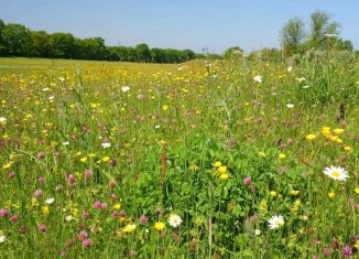 Продам земельный участок, 6 сот., Анапа, А-290, 50-й километр