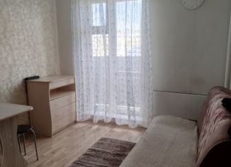 Квартира в аренду студия, 27 м2, Новосибирск, улица Фадеева, 66/5, метро Заельцовская